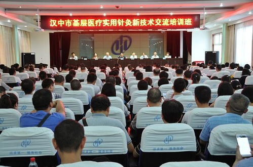 科技賦能針灸傳承 安軍明主任參與全市基層醫療實用針灸新技術交流培訓班