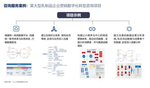 營銷數字化轉型 技術咨詢能力是激發產品價值的關鍵